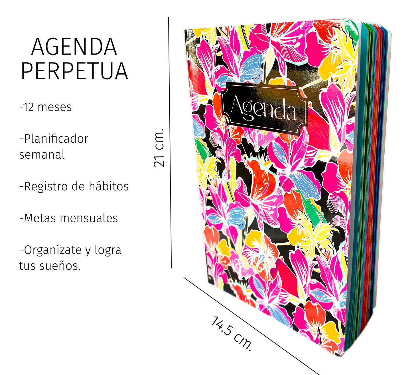 Agenda perpetua semanal - 1 año. Mod. Pandora