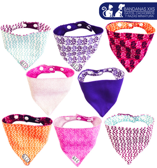 BFF Set de 4 bandanas doble vista extra chicas para gatos o perros miniatura. BFF-011G-S4P-S